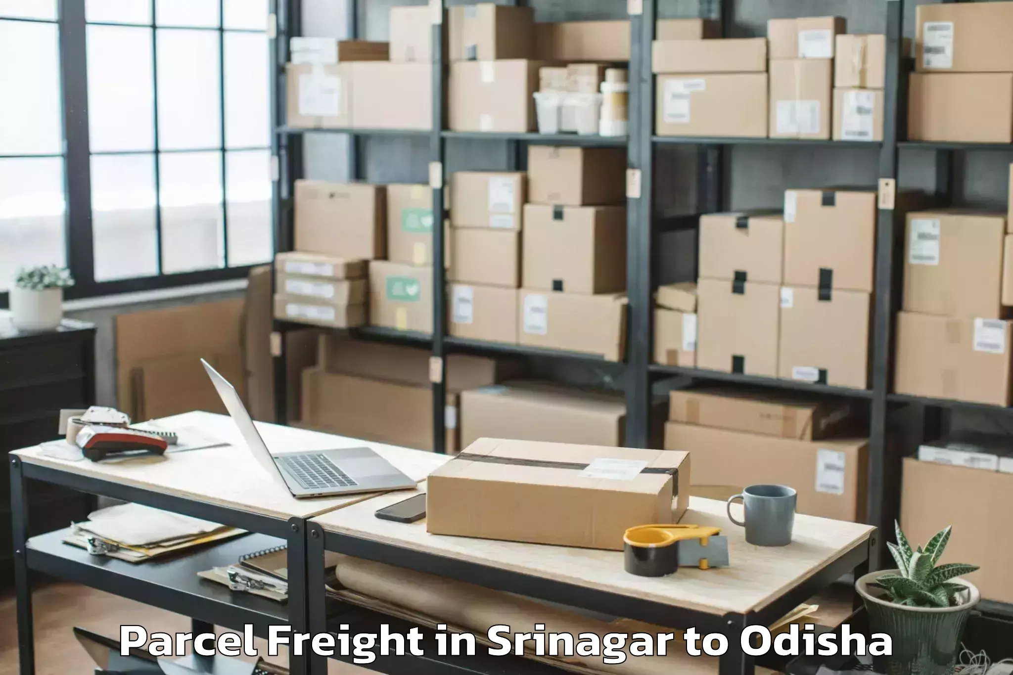 Efficient Srinagar to Thuamul Rampur Parcel Freight